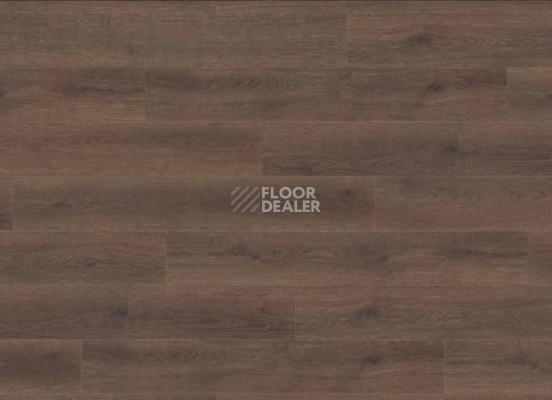 Ламинат Haro Tritty 100 4V ДУБ КОНТУРА ДЫМЧАТЫЙ 538697 фото 1 | FLOORDEALER